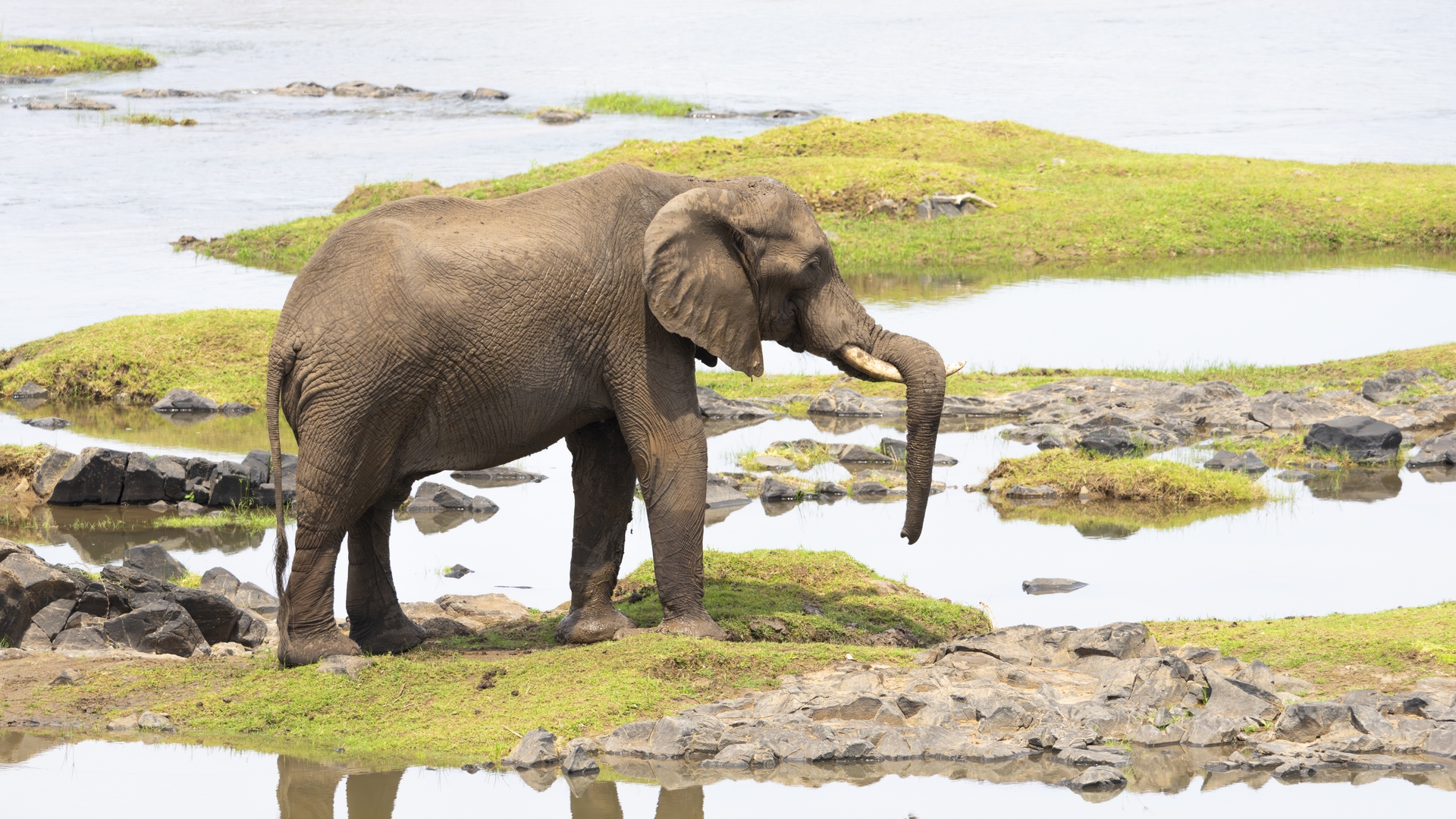 Kruger25 2025 11 04 09 50 06 ILCE 1M2 841